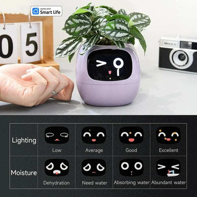 Smart Small Flower Pot